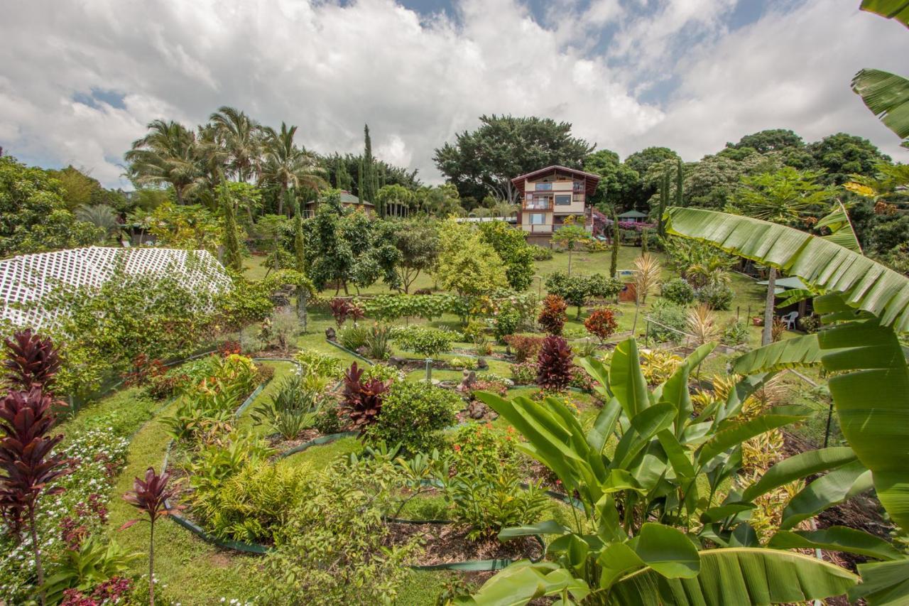 Banyan Tree Sanctuary Guest House Kalaoa Luaran gambar